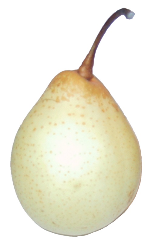 Pear